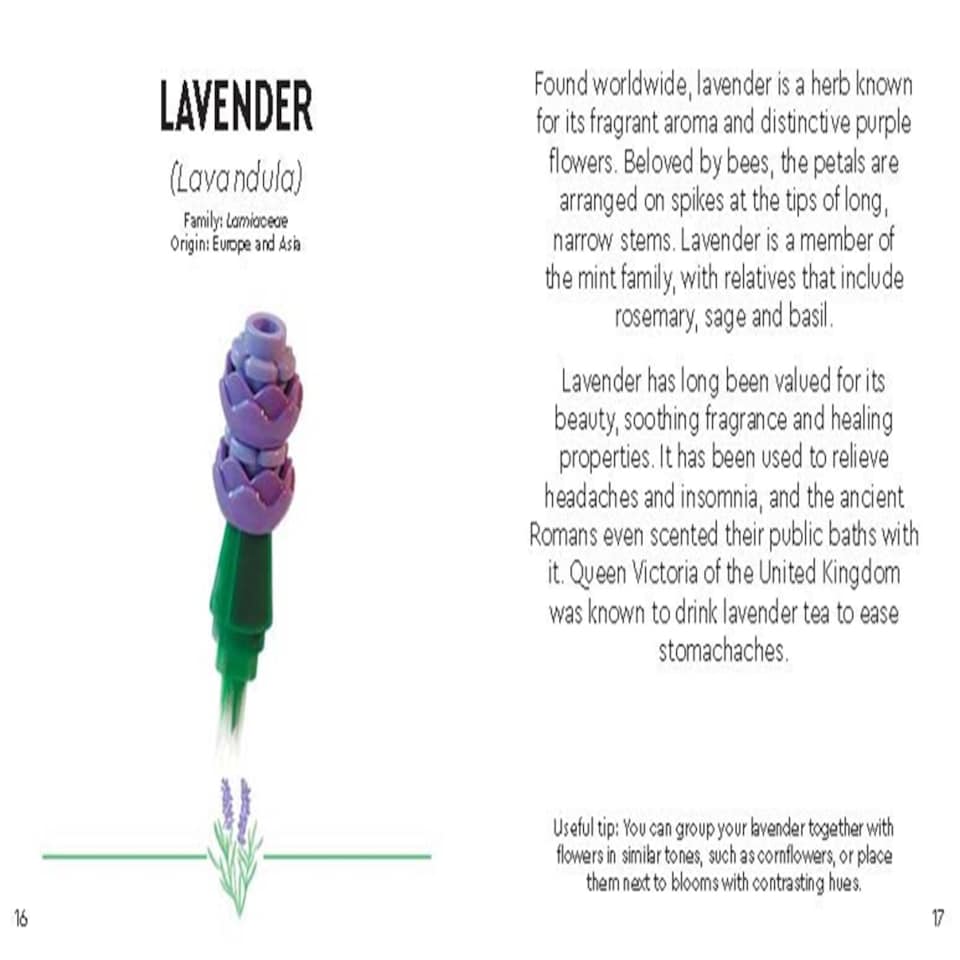 image 1 of LEGO Botanicals Tiny Wildflower Bouquet Book