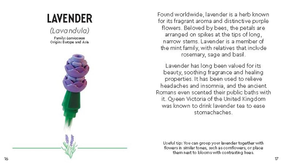 image 1 of LEGO Botanicals Tiny Wildflower Bouquet Book