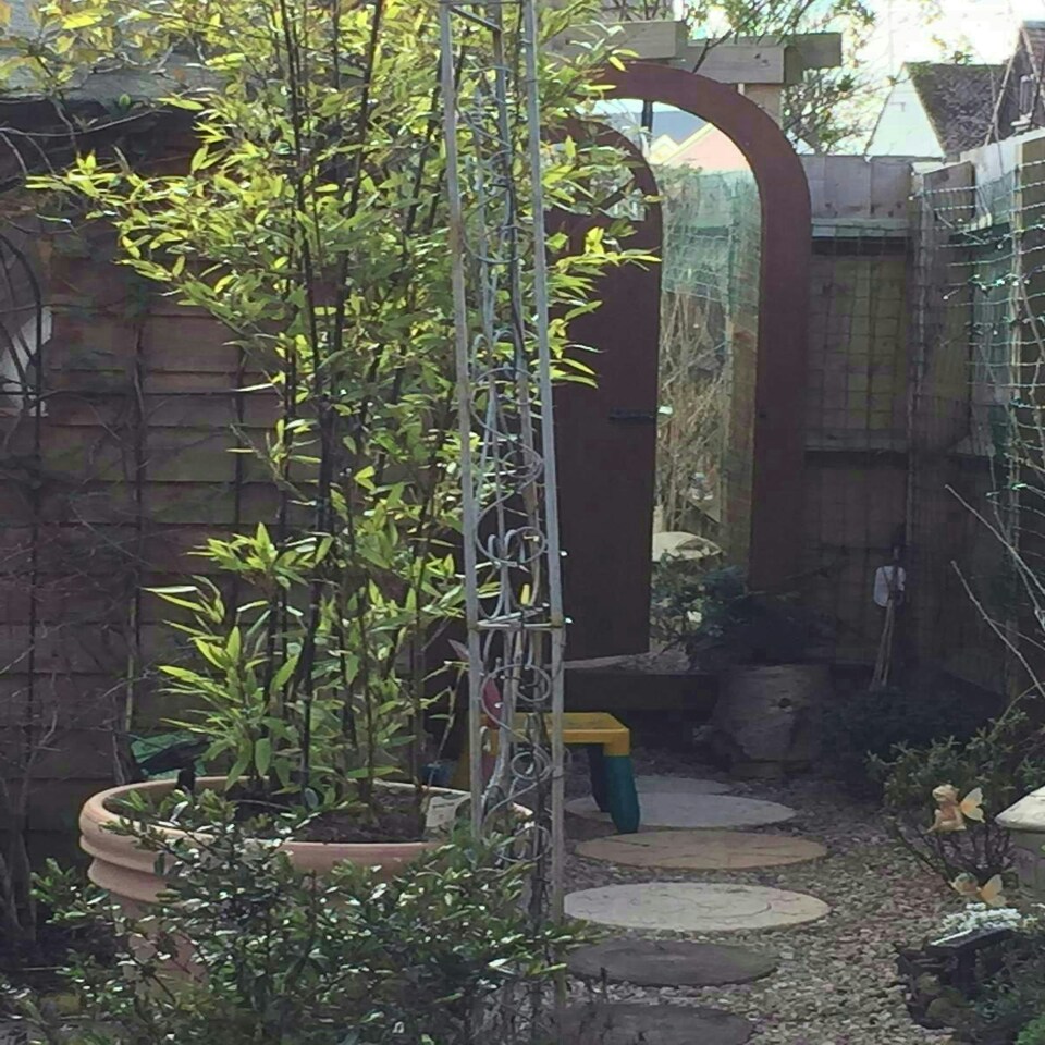 image 1 of Primrose Glass Illusion Wooden Garden Mirror Gate