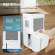image 4 of 20 Litre Dehumidifier with air purifier Continuous Drainage Hose