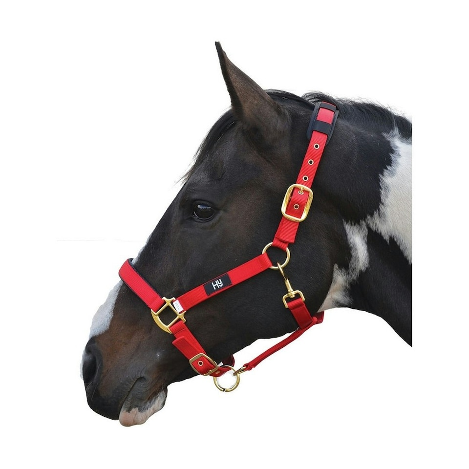 Hy Deluxe Padded Head Collar - Red - XL
