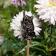image 1 of Jardinopia Frog on Bullrush Cane Topper, Antique Bronze