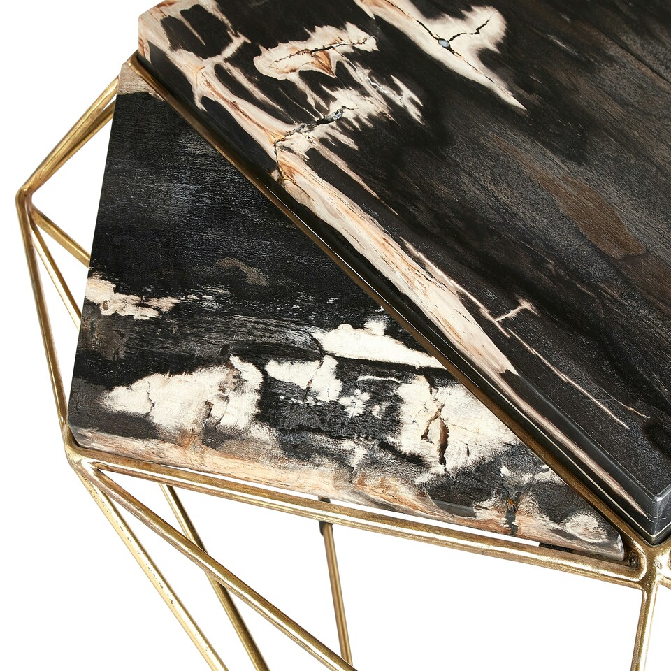 image 1 of Distinctive Dark Petrified Wood Coffee Table, Natural Design Modern Coffee Table, Elegant Decorative Table | Brown
