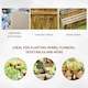 image 8 of Outsunny Raised Flower Bed Wooden Rectangualr Planter Container Wood