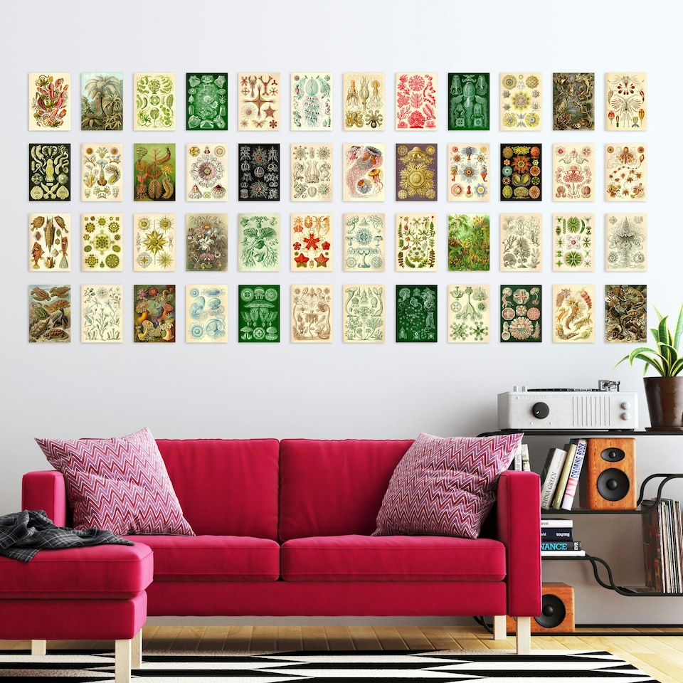 image 1 of Botanical Aesthetic Haeckel Colourful Art Set of 50 Unframed A6 Prints