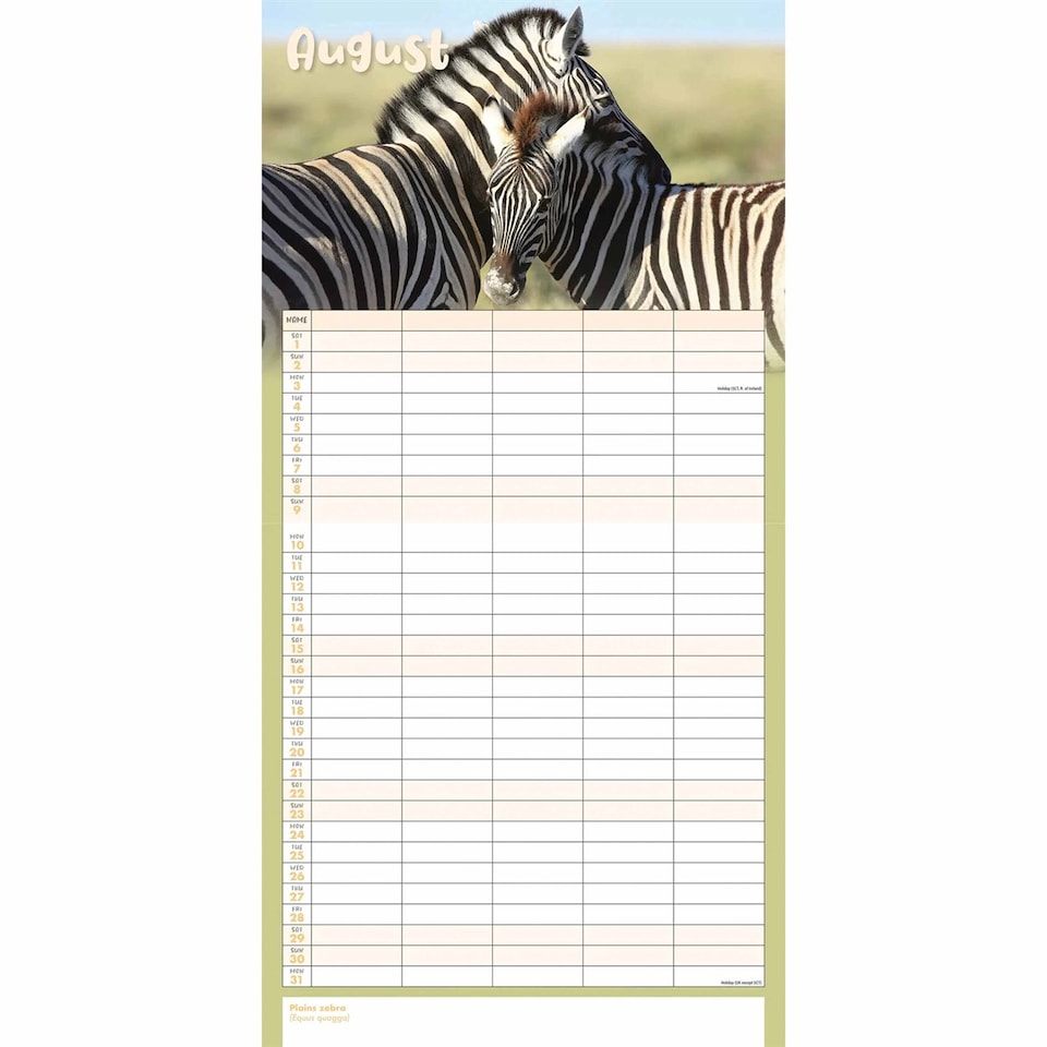 image 1 of Busy Life Planner Wall Calendar 2026