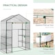 image 4 of Outsunny Walk In Greenhouse Garden Clear PVC Frame Shelves Reinforced Plant Grow