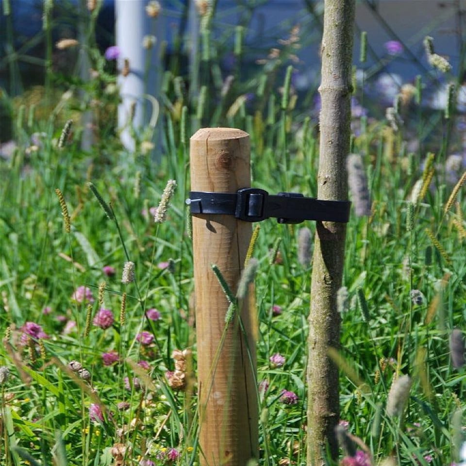 image 1 of True Products Pressure Treated Round Wooden Fence Posts 1200mm x 50mm - Pack of 10 | Brown | Brown | 10