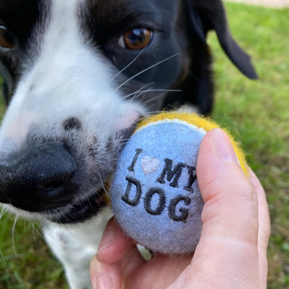 image 1 of Pre-Personalised Dog Ball Gift Pack 2pcs Purple Tilly