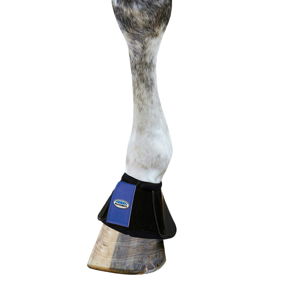 image 1 of Weatherbeeta Impact Bell Boots - Black/Royal Blue - Warmblood