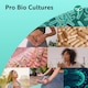 image 3 of Nutravita Probiotics 60 Billion CFU with Lactospore - 21 Strain Probiotics & Prebiotics - Lactobacillus Reuteri & Acidophilus - 60 Capsules