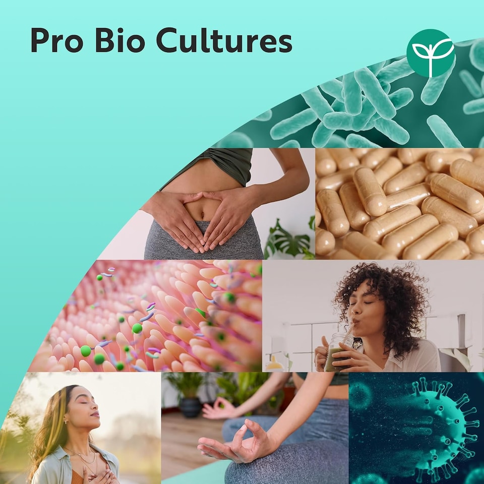 image 1 of Nutravita Probiotics 60 Billion CFU with Lactospore - 21 Strain Probiotics & Prebiotics - Lactobacillus Reuteri & Acidophilus - 60 Capsules