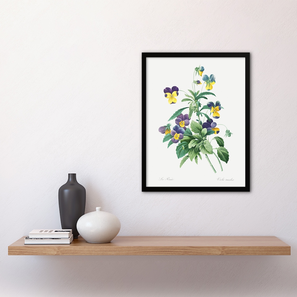 image 1 of Wild Pansy Flower Illustration Redoute Vintage Framed Wall Art Print 12X16"