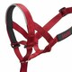 image 4 of Halti Dog Head Collar - Red - 1