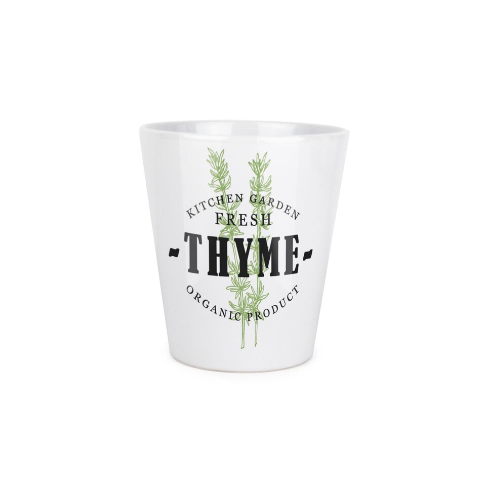 image 1 of Fresh Green Herbs Small Ceramic Thyme Plant Pot