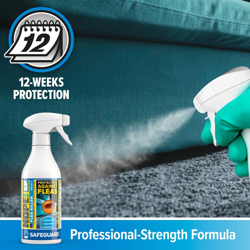 image 1 of NOPE CP Flea Spray (500ml) for The Home - Fast-Acting, Odourless & Non-Staining. Indoor & Outdoor Flea Killer