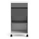 image 2 of Function Plus Mobile File Cabinet 2 Drawers 1 shelf