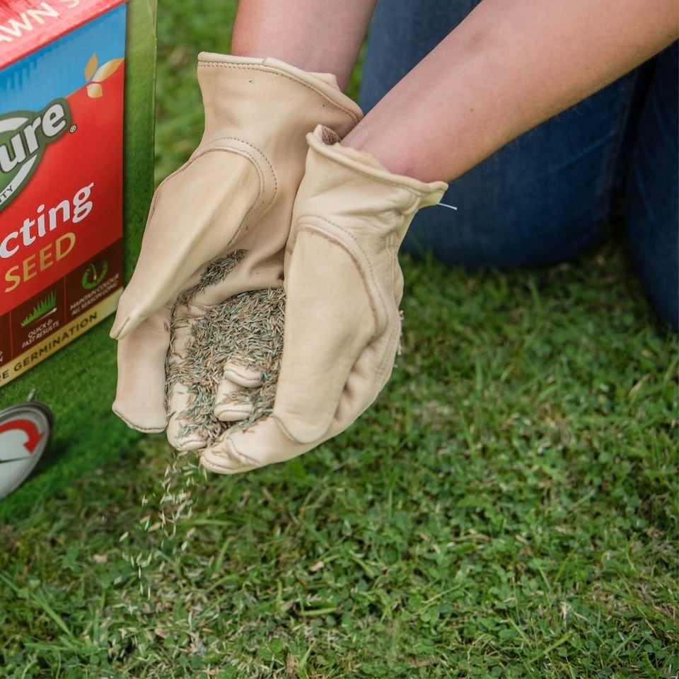 image 1 of Gro-Sure Fast Acting Lawn Seed 50sqm