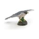 image 7 of PAPO Wild Animal Kingdom Hawk Toy Figure