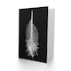 image 2 of Ernst Haeckel Art Card Murex Seashell Sketch on Black