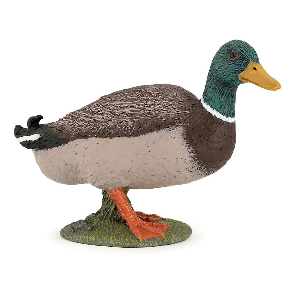 image 1 of PAPO Farmyard Friends Mallard Duck Toy Figure