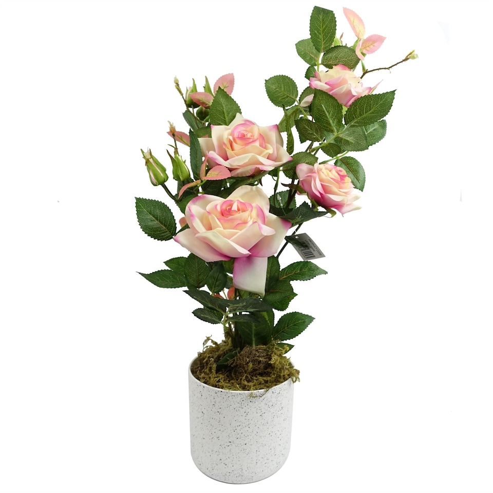 image 1 of 50cm Artificial Pink Rose Plant