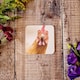 image 2 of Lucy's Farm Vivienne the Chicken Melamine Coaster