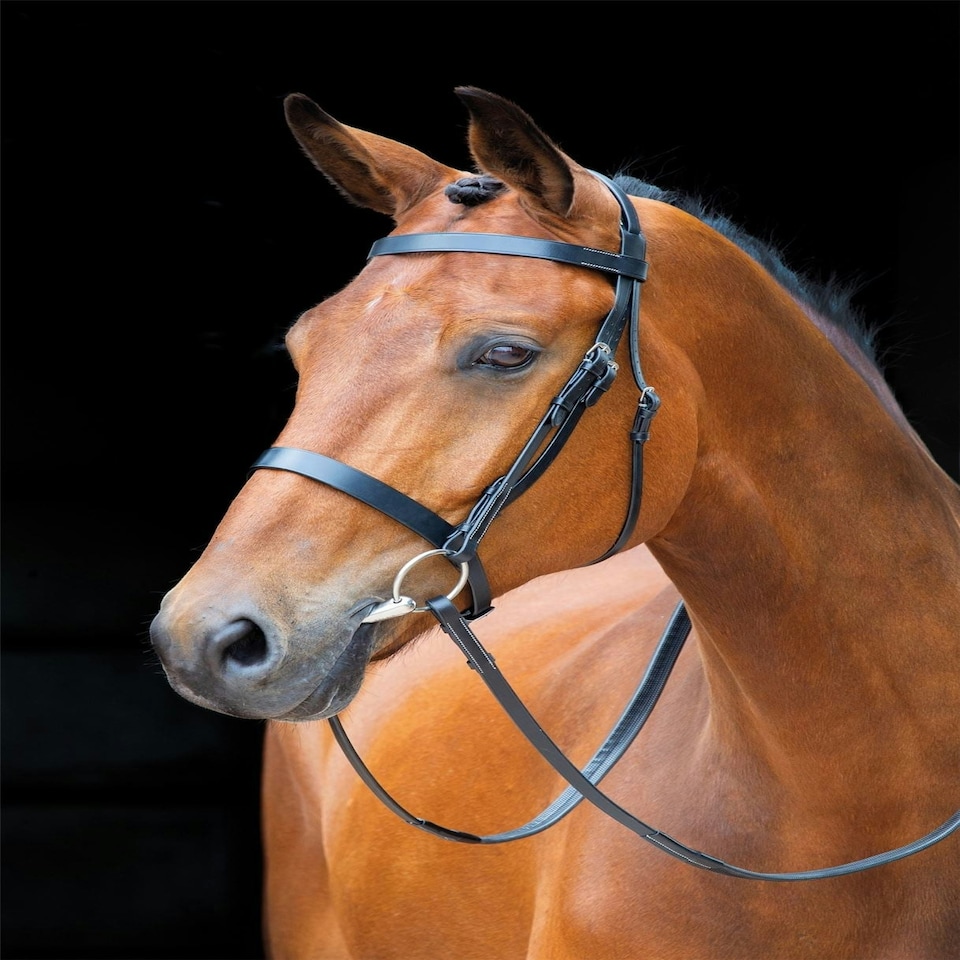 image 1 of Shires Salisbury Berrington Bridle Brown | Colour: Australian Nut
Size: Cob