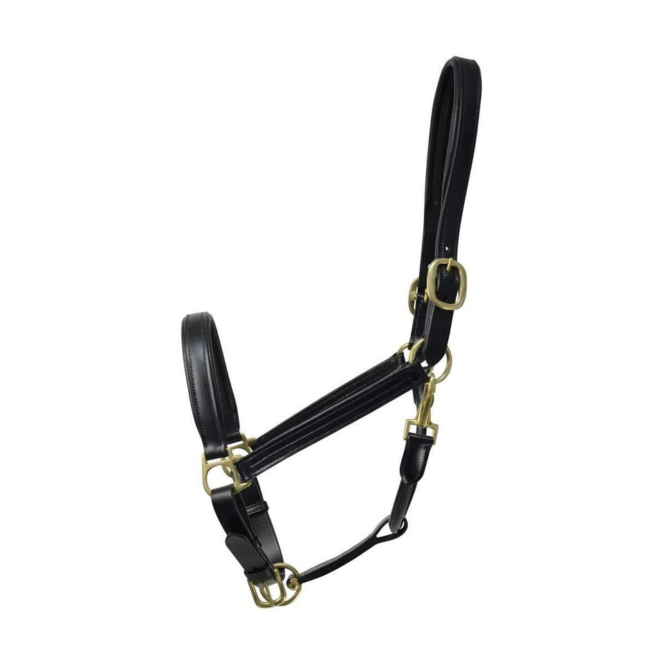 Coldstream Leather Padded Head Collar - Black - Full
