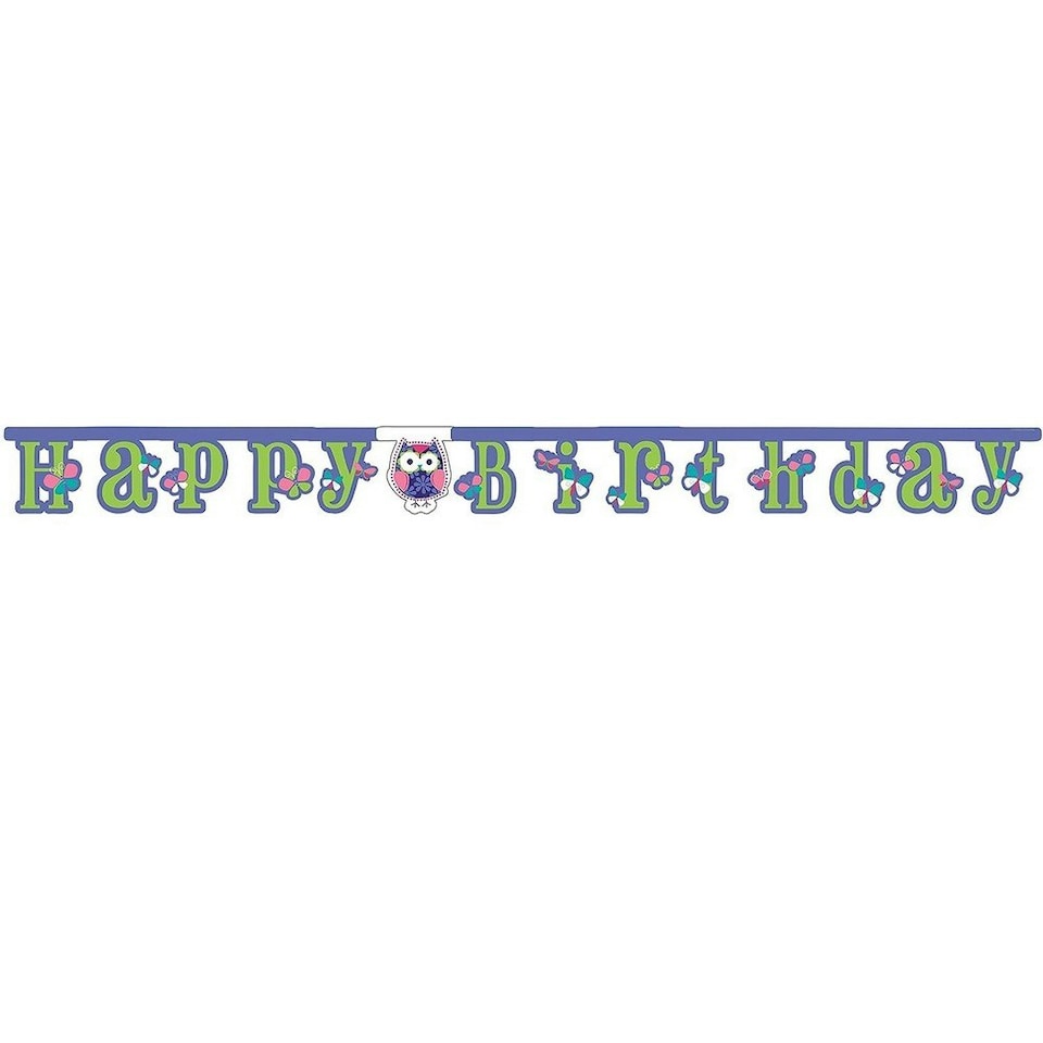 Creative Party Owl Pal Happy Birthday Banner - Purple/Pink/Green - One Size