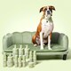 image 5 of WAGS Bert's Fragrance for Male Dogs 100ml