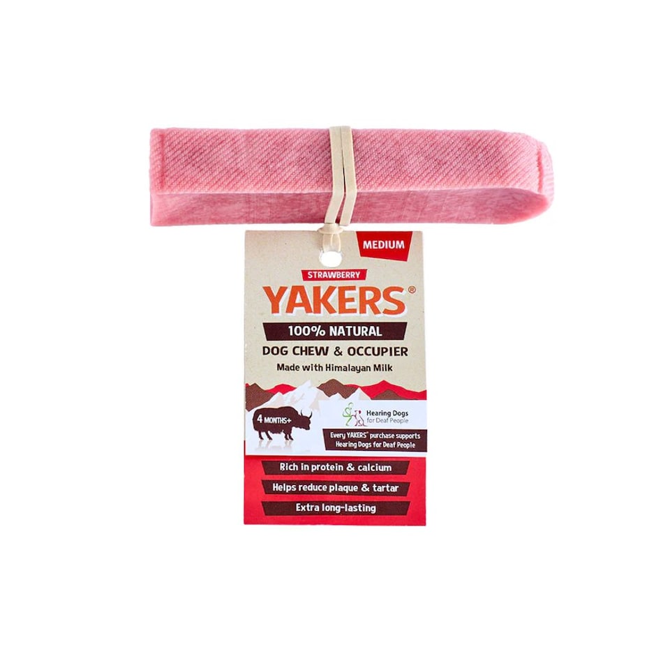 image 1 of YAKERS Strawberry Natural Himalayan Dog Chews - Pack of 2 (Medium)