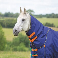 Shires Highlander Original 100 Turnout Neck Cover Purple | Size: X-Large
Colour: Plum