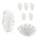 image 1 of 50cm - 60cm Large Ostrich Feathers, Showgirl Spadones - 5pcs