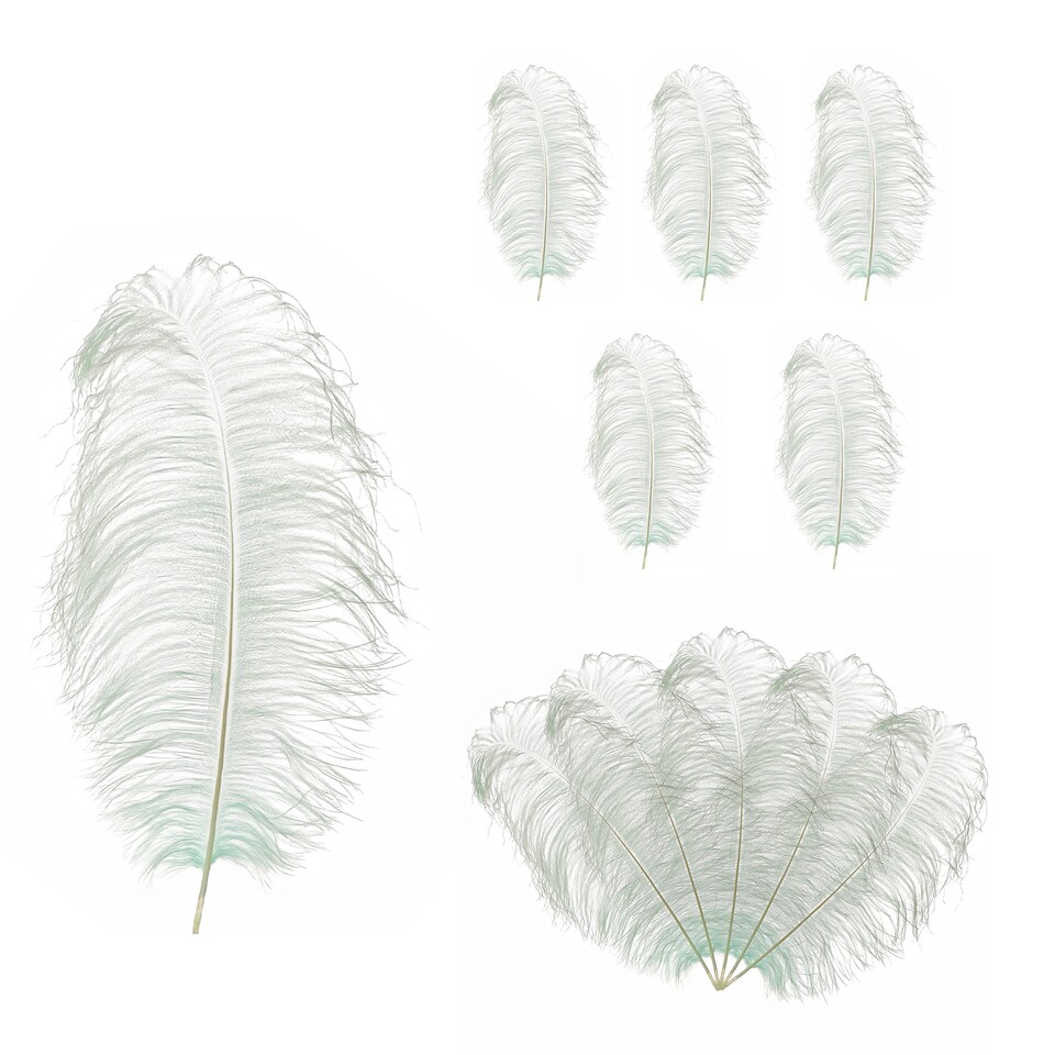image 1 of 50cm - 60cm Large Ostrich Feathers, Showgirl Spadones - 5pcs