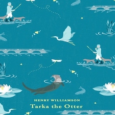 Tarka The Otter