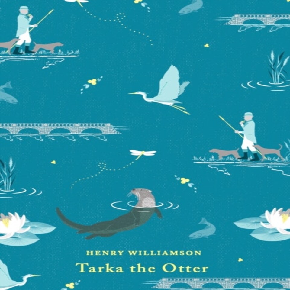 Tarka The Otter