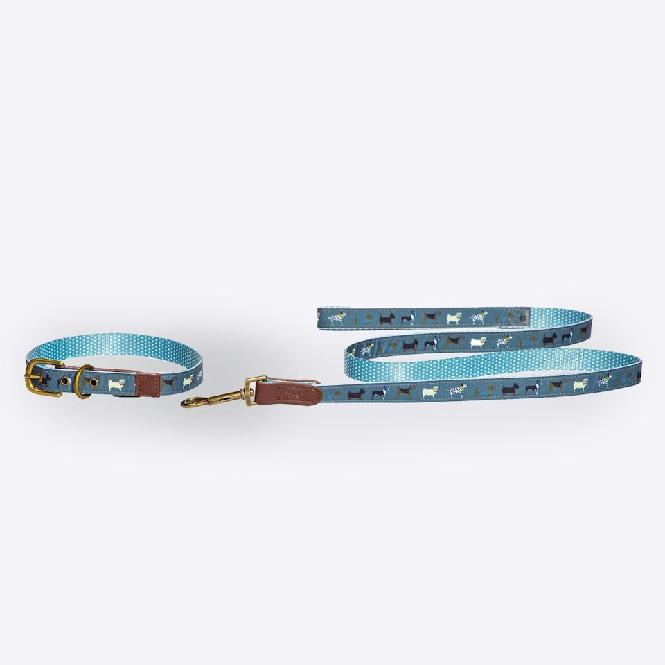 image 1 of FatFace Marching Dogs Collar Medium 2cm (100% Polyester)&nbsp;&nbsp;