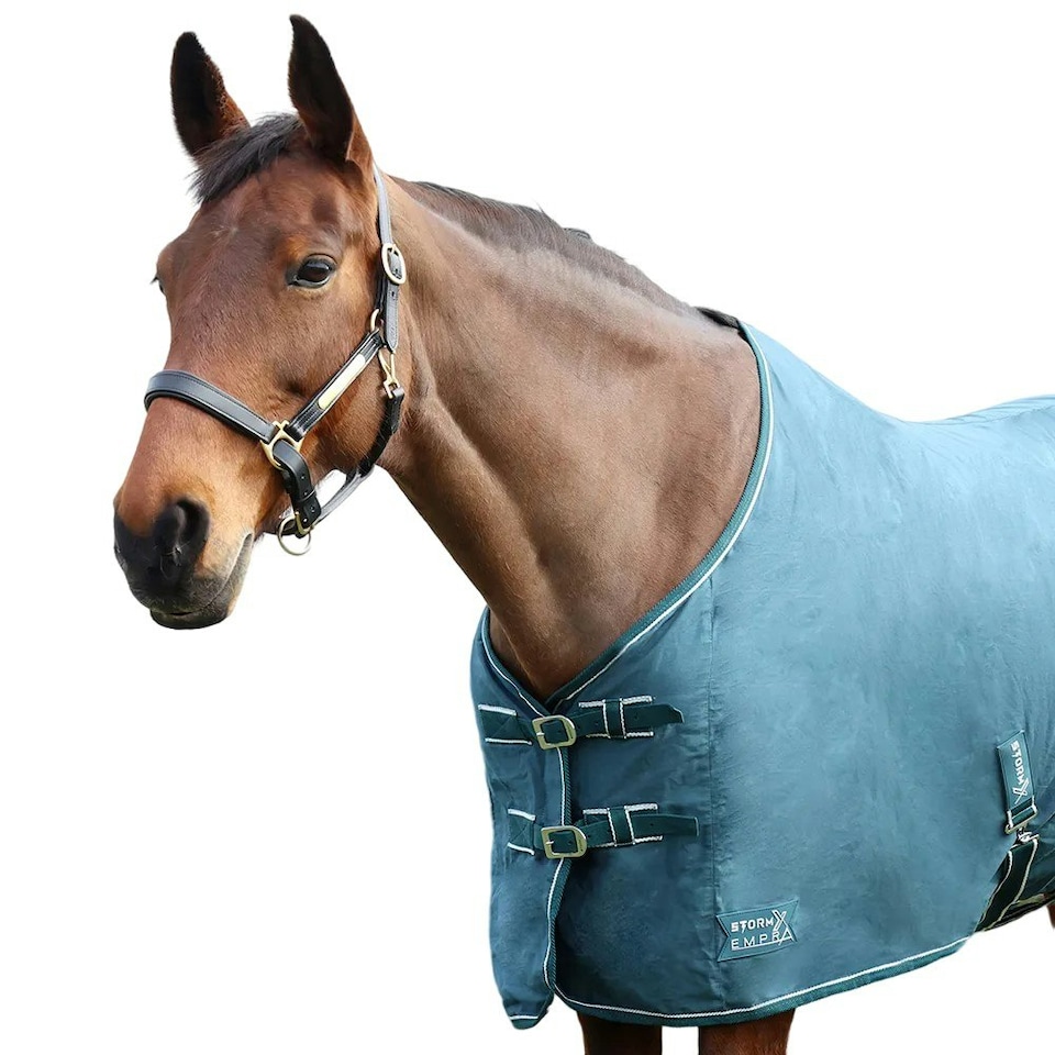 image 1 of StormX Empra Pima Standard-Neck Horse Summer Sheet - Teal - 6´ 6"