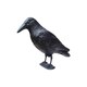 image 1 of Marco Paul Plastic Black Crow Scarer 36cm