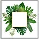 image 3 of Botanical frame (Picture Frame) Brown | XS