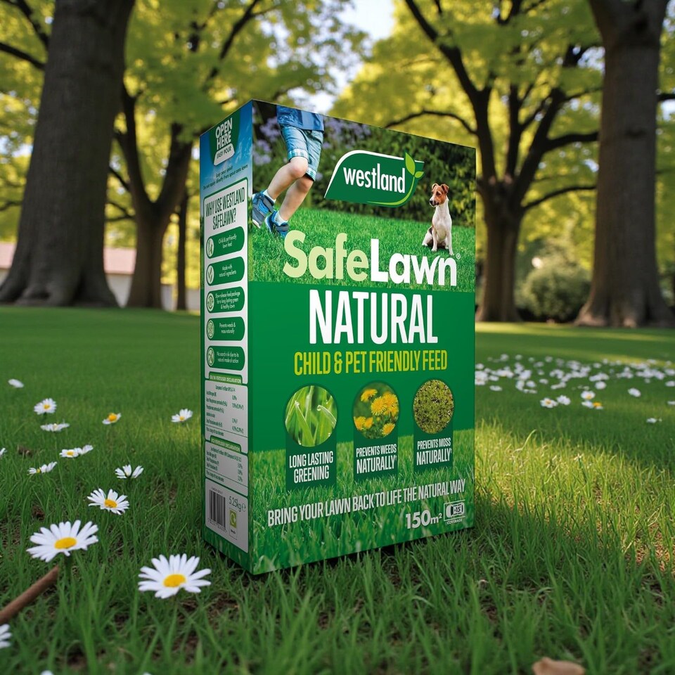 image 1 of Westland SafeLawn 150m2 Box Natural Organic Lawn Fertiliser Feed for Lush Green Grass Safe for Pets and Children Lawn