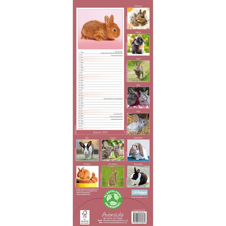 image 1 of Rabbits Slim 2026 Calendar | Slimline Wall Calendar | Animal Gift | Plastic Free Packaging | by Avonside Publishing [Calendar] Avonside Publishing Ltd