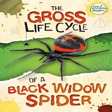 Gross Life Cycle Of A Black Widow Spider