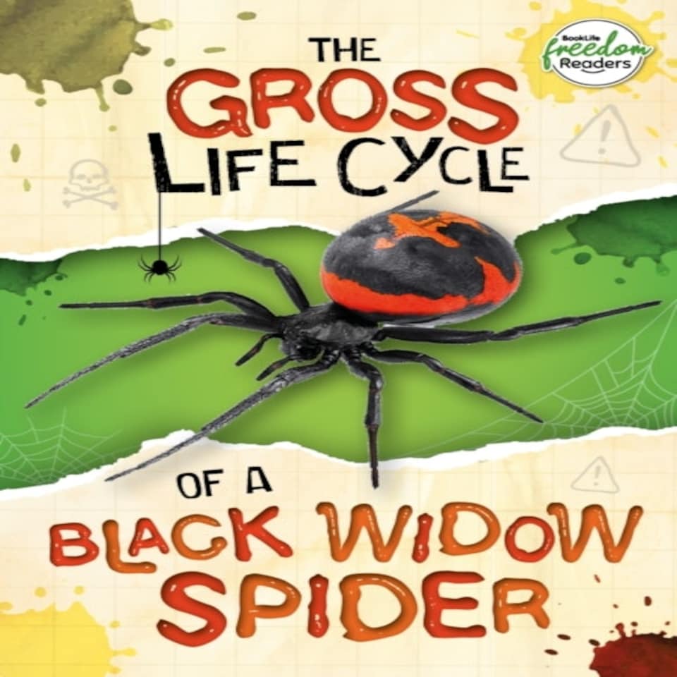 Gross Life Cycle Of A Black Widow Spider