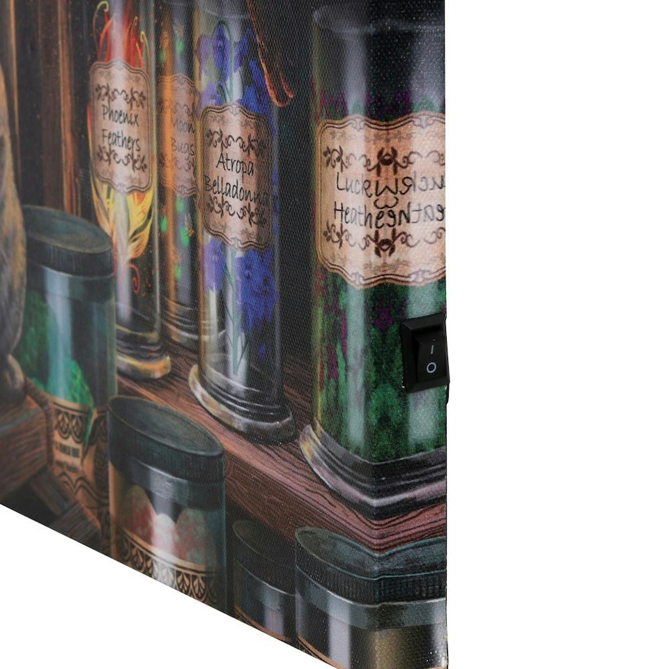 image 1 of Lisa Parker Magical Emporium Canvas Framed Plaque - Multicoloured - One Size