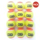 image 1 of Karakal Lobo Low Compression Tennis Balls (Pack of 12) - Yellow/Orange - One Size
