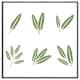 image 1 of Herbs (Picture Frame) Grey | XL