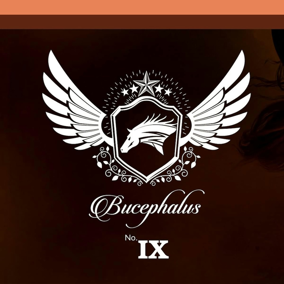 image 1 of ARMAF Bucephalus No. IX 100ml IMPROVED Eau De Parfum 100ml