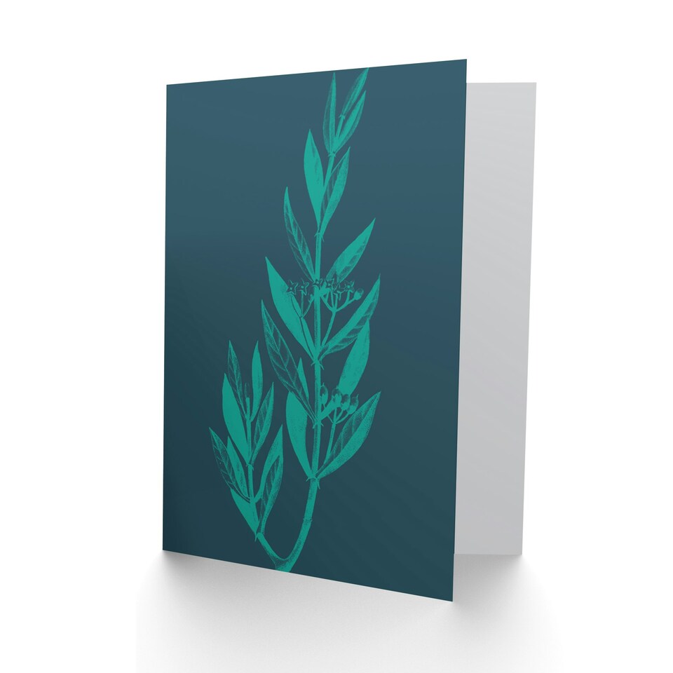 image 1 of Navy Teal Star Flowers Just To Say Card